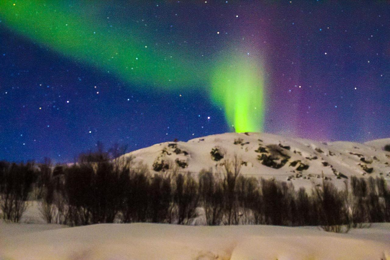 Melishome: Aurora Observatory Тромсе Екстер'єр фото